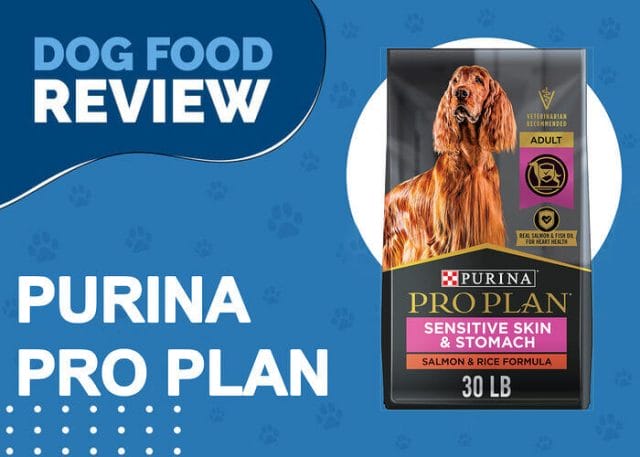 Pro Plan Sensitive Skin and Stomach Formulas for Dogs