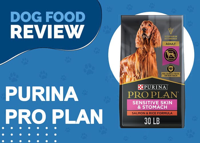 Pro Plan Sensitive Skin and Stomach Formulas for Dogs