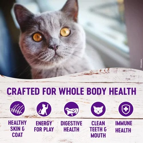 Where to Buy Wellness Complete Health Indoor Deboned Chicken, Salmon Meal & Brown Rice Recipe Dry Cat Food