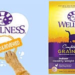 Navigating Nutrition for Indoor Cats: Exploring Wellness Complete Health Indoor Deboned Chicken, Salmon Meal & Brown Rice Recipe
